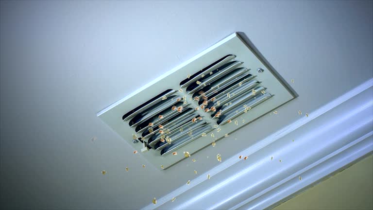 Best Commercial Air Duct Cleaning  in Madison, MN