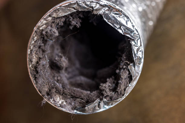 Best Air Duct Cleaning Near Me  in Madison, MN