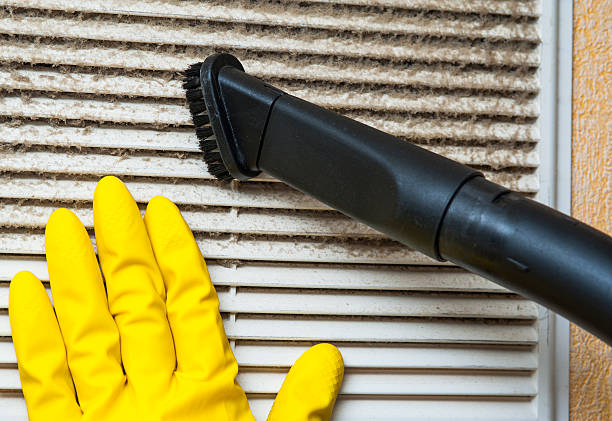 Best Affordable Duct Cleaning Services  in Madison, MN