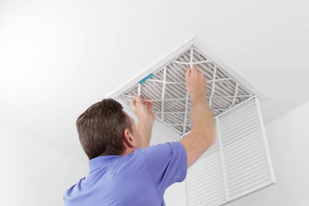Best Ductwork Cleaning Services  in Madison, MN